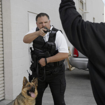 A police officer with a dog aiming gun at thief